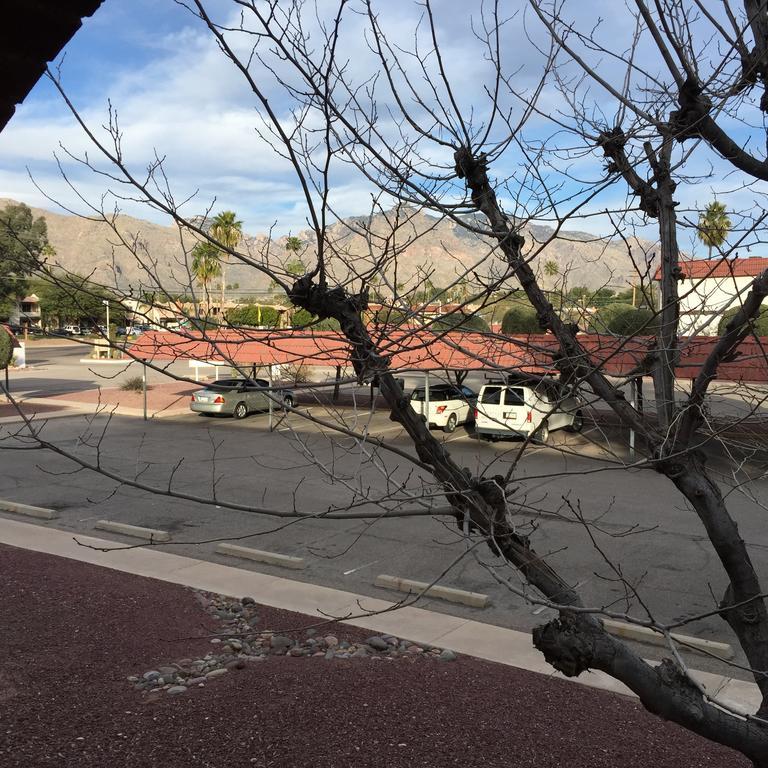 Casas Adobes Condo Tucson Værelse billede